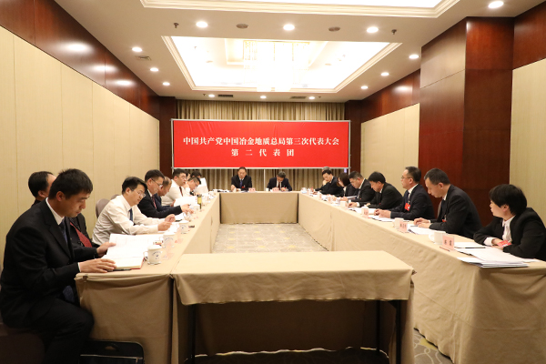 代表团第二次会议（第2代表团）